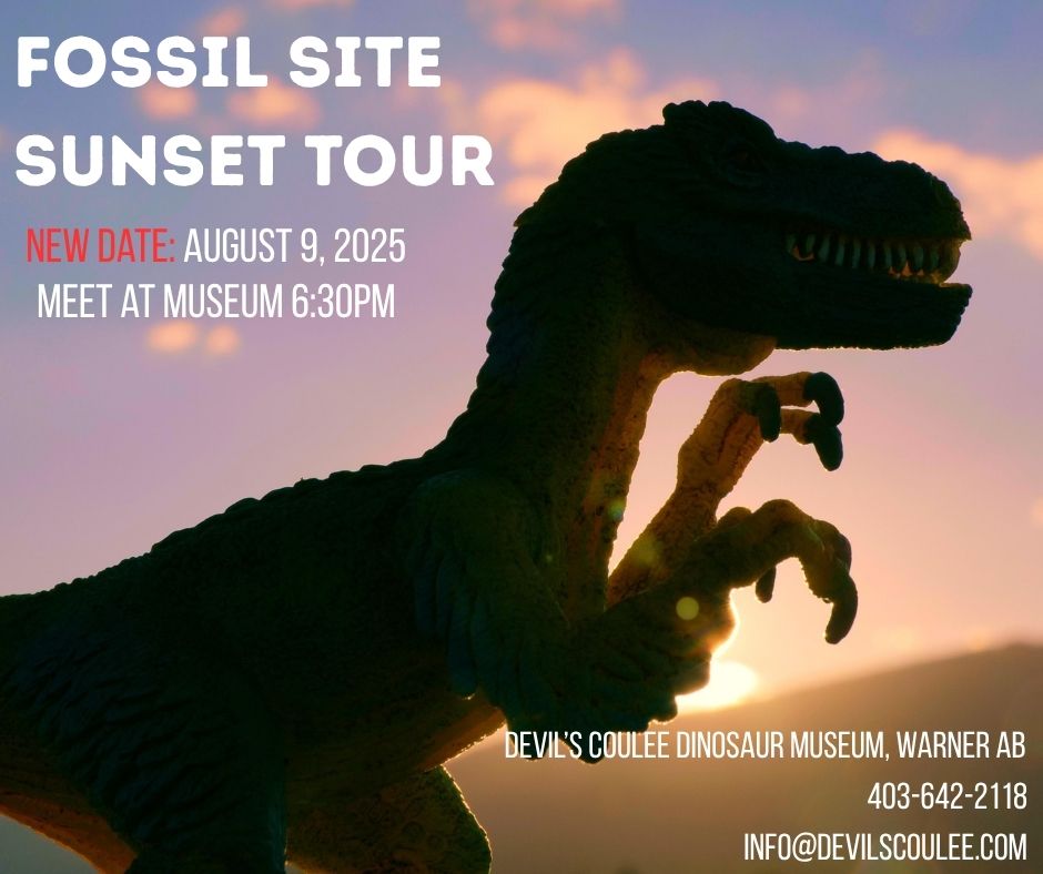 A Tyrannosaurus rex in profile, shaded by the evening light.