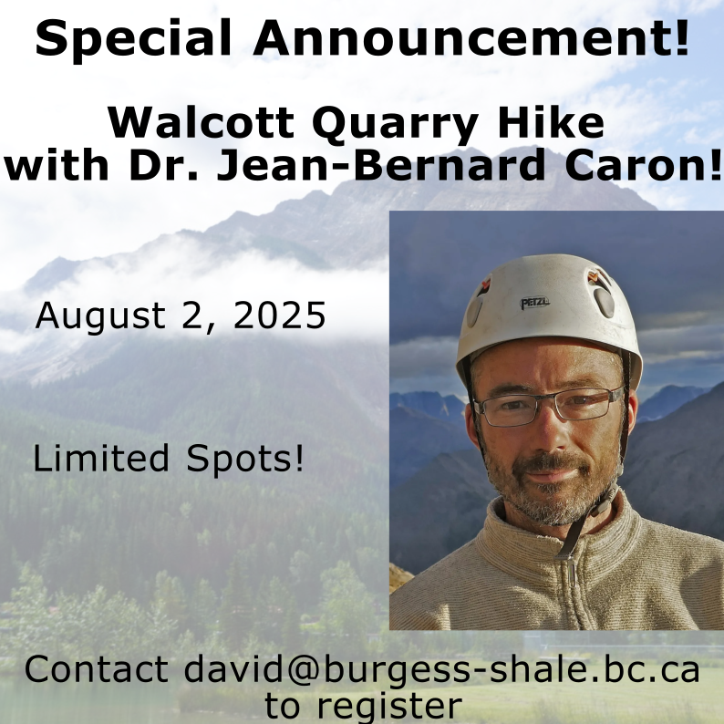 A poster giving the time and date of the hike. The background is a faded picture of the mountains about Field, BC.