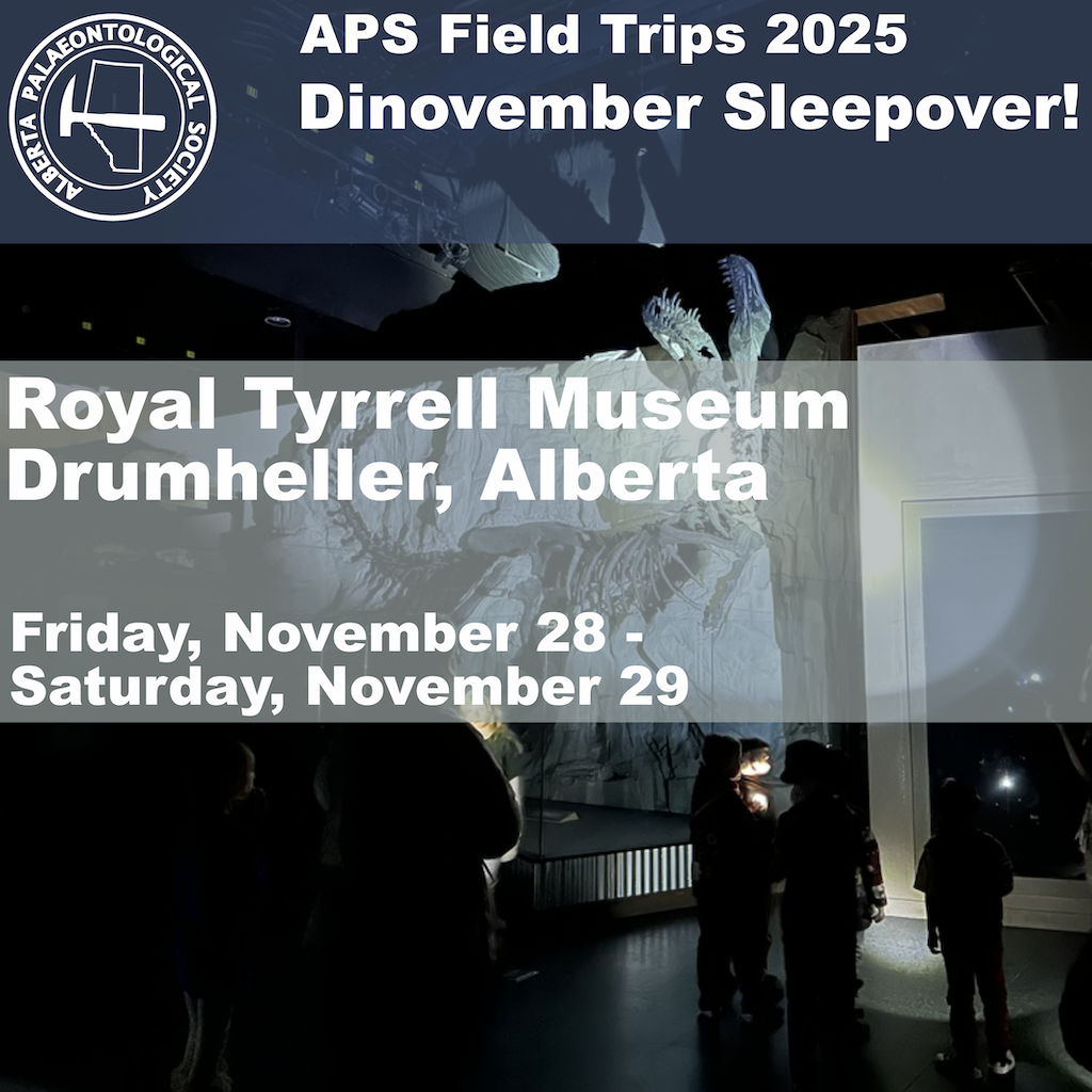 A poster of the event, displaying the dates. In the background is the fossil of Black Beauty, the Tyrannosaurus Rex, at the RTMP. The fossil is in the dark and illuminated only by a flashlight beam.